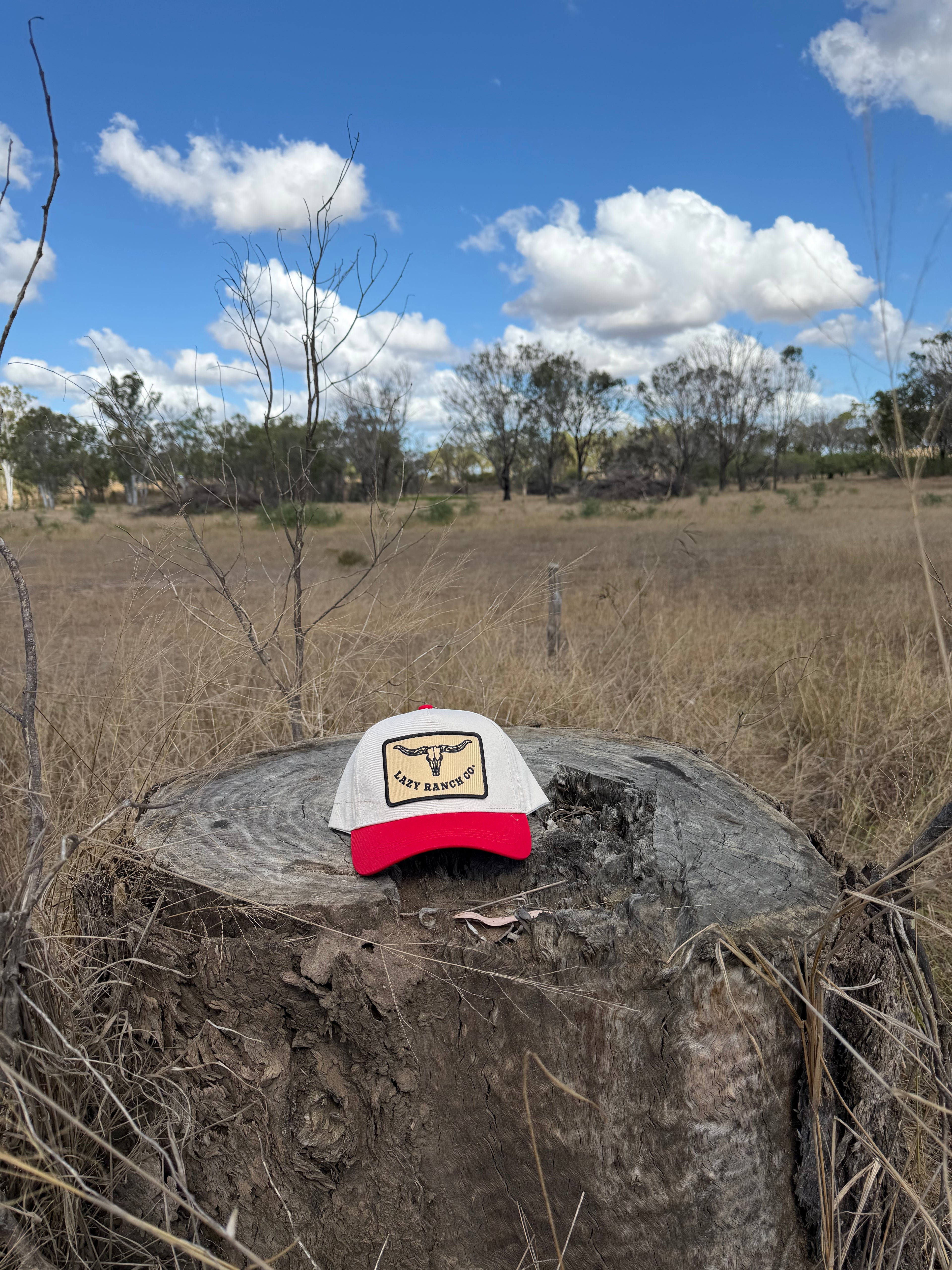 Lazy Ranch Two-Tone Cap