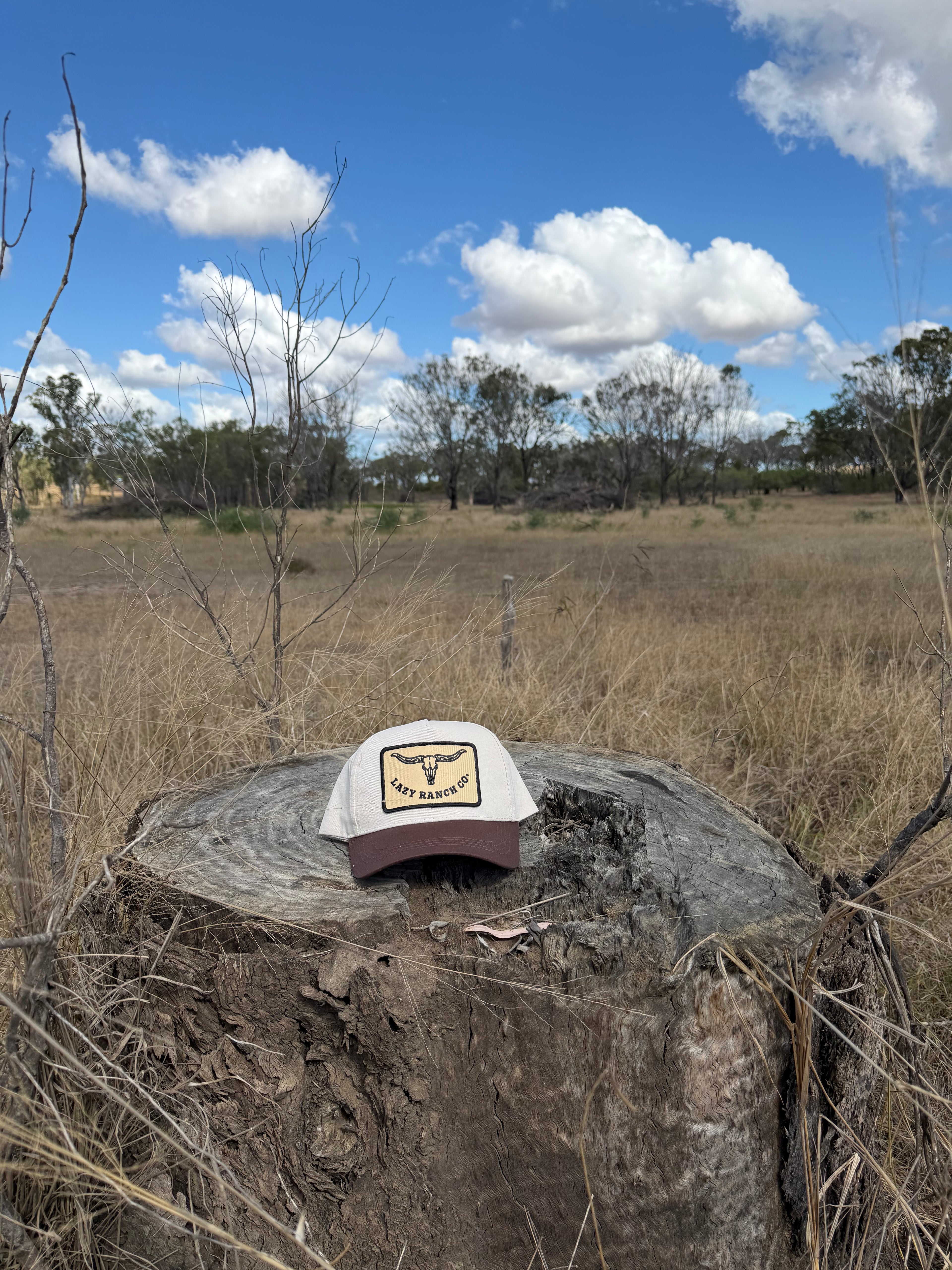 Lazy Ranch Two-Tone Cap